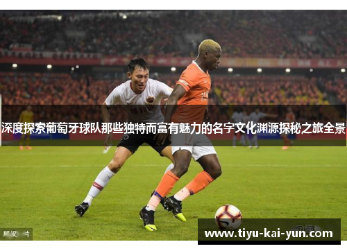 深度探索葡萄牙球队那些独特而富有魅力的名字文化渊源探秘之旅全景